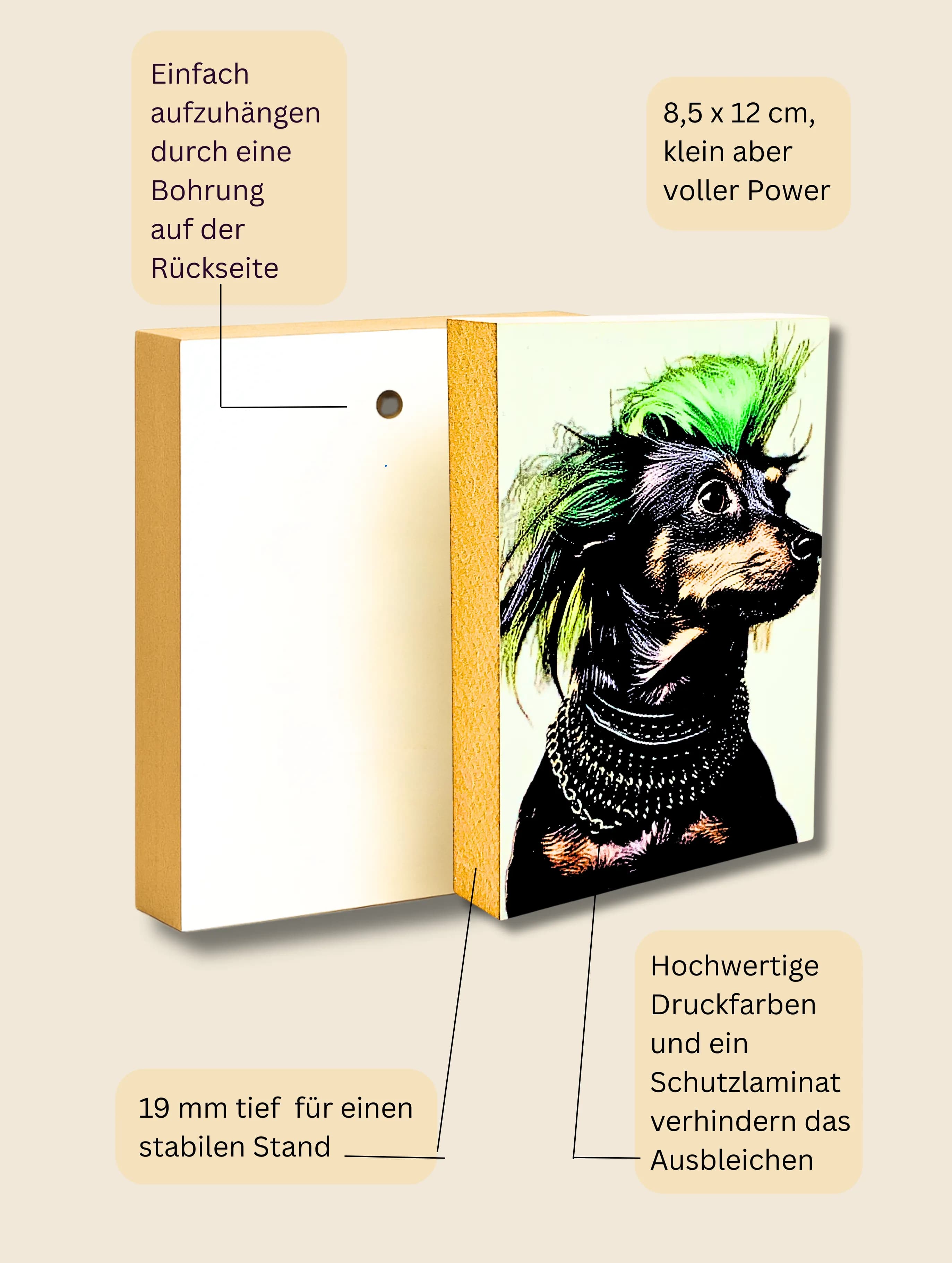 Crazy Dogs Holzbild Alwin