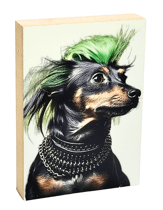 Lustige Bilder für die ganze Familie