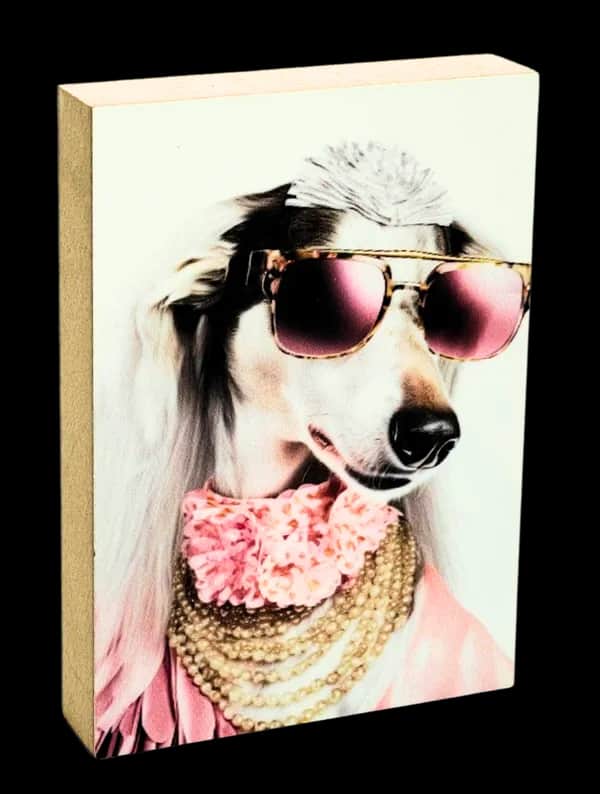 Crazy Dogs Holzbild Samantha